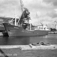 Havnesnak på Aarhus Søfarts Museum</br>Coasteren m/s Nordborg ved kaj 13 foran pakhus 13. 1965 (Danmarks negativsamling)